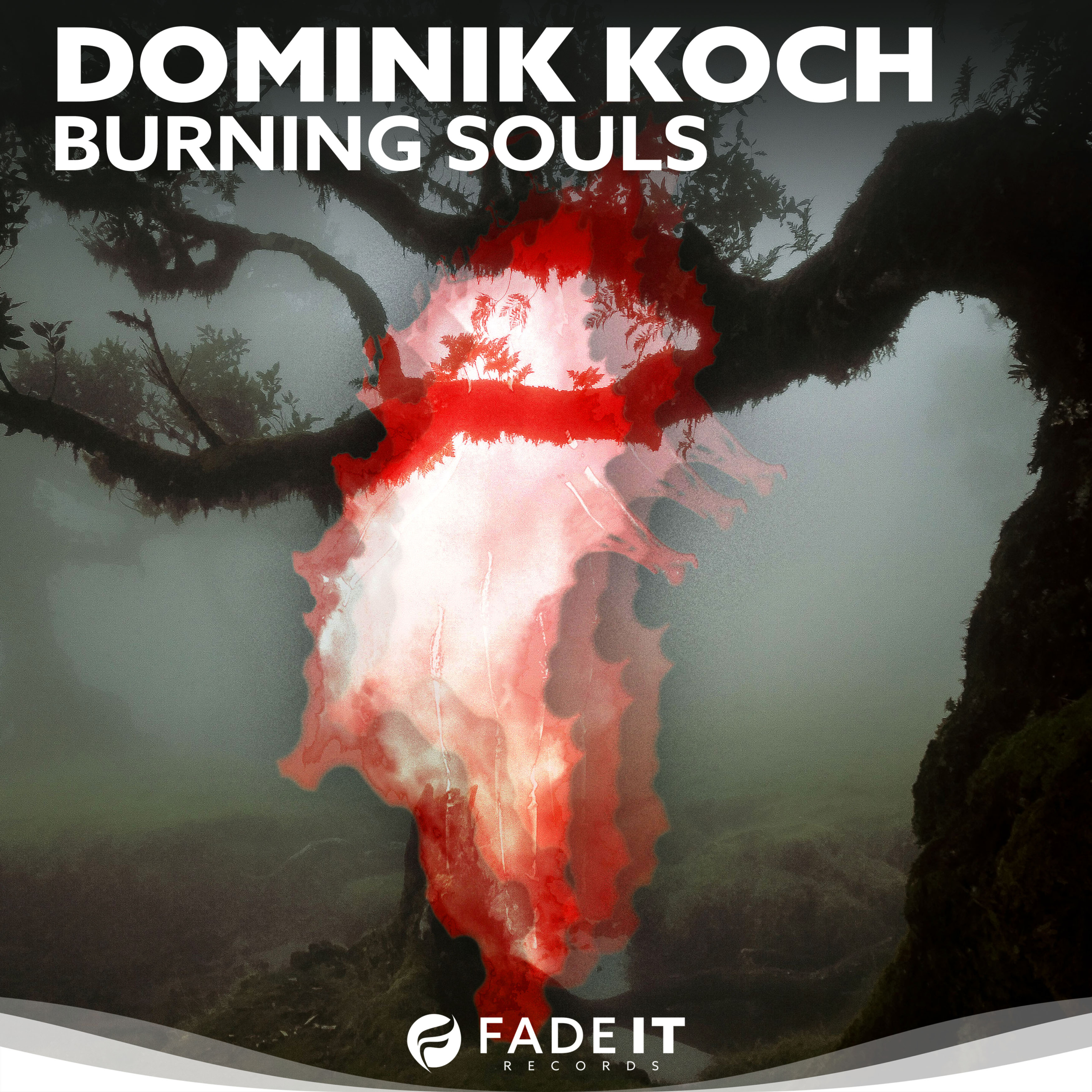 Dominik Koch - Burning Souls